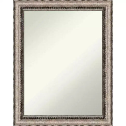 22" x 28" Non-Beveled Lyla Ornate Wall Mirror with Frame, Silver - Amanti Art: Includes Mounting Hardware