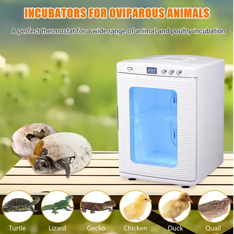 Incubatrice per rettili, incubatrice per uova da cova da 25 litri - Temperatura controllata 10°C-60°C, incubatrice digitale portatile 12V/110V per piccoli rettili