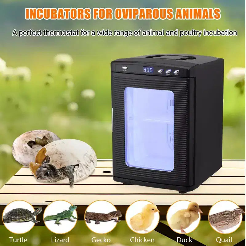 Incubatrice per rettili, incubatrice per uova da cova da 25 litri - Temperatura controllata 10°C-60°C, incubatrice digitale portatile 12V/110V per piccoli rettili