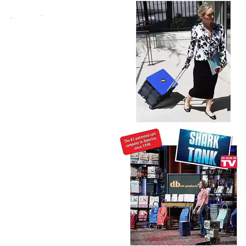 dbest products Quik Cart carrello pieghevole con ruote per insegnanti Borsa a carrello Cesto capacità 36 kg
