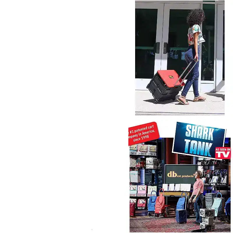 dbest products Quik Cart carrello pieghevole con ruote per insegnanti Borsa a carrello Cesto capacità 36 kg