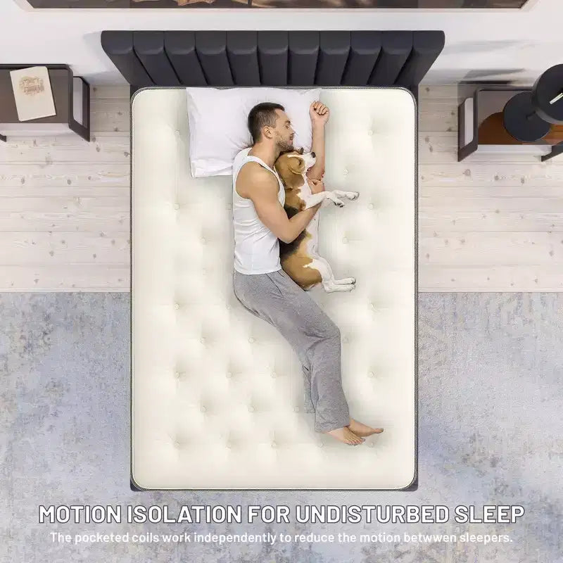 Continental Sleep, Materasso Ibrido a Lato Singolo Pillow Top da 9 Pollici Medio Rigido, Compatibile con Letto Regolabile