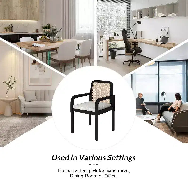Sedia da pranzo Hieromymus Modern Ratten con cuscino rimovibile|HULALA HOME
