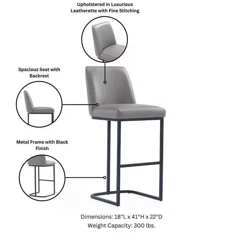 Manhattan Comfort Set di 2 Sgabelli da Bar Serena