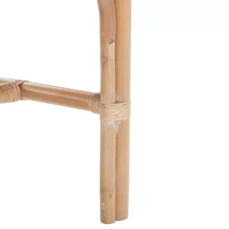 Sedia Donatella - SEA4012 - Safavieh