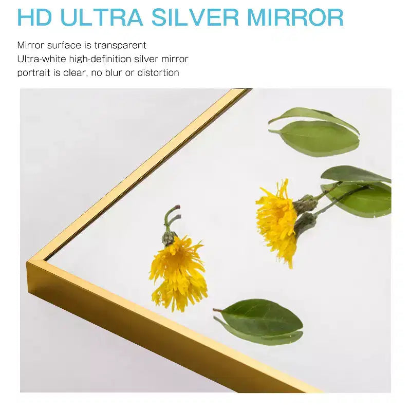 Dovelina Specchio Moderno Rettangolare da Parete Nero con Bordo Sottile in Alluminio Decorativo